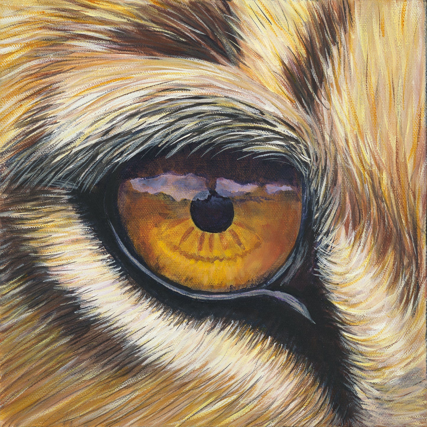 Lion Eye