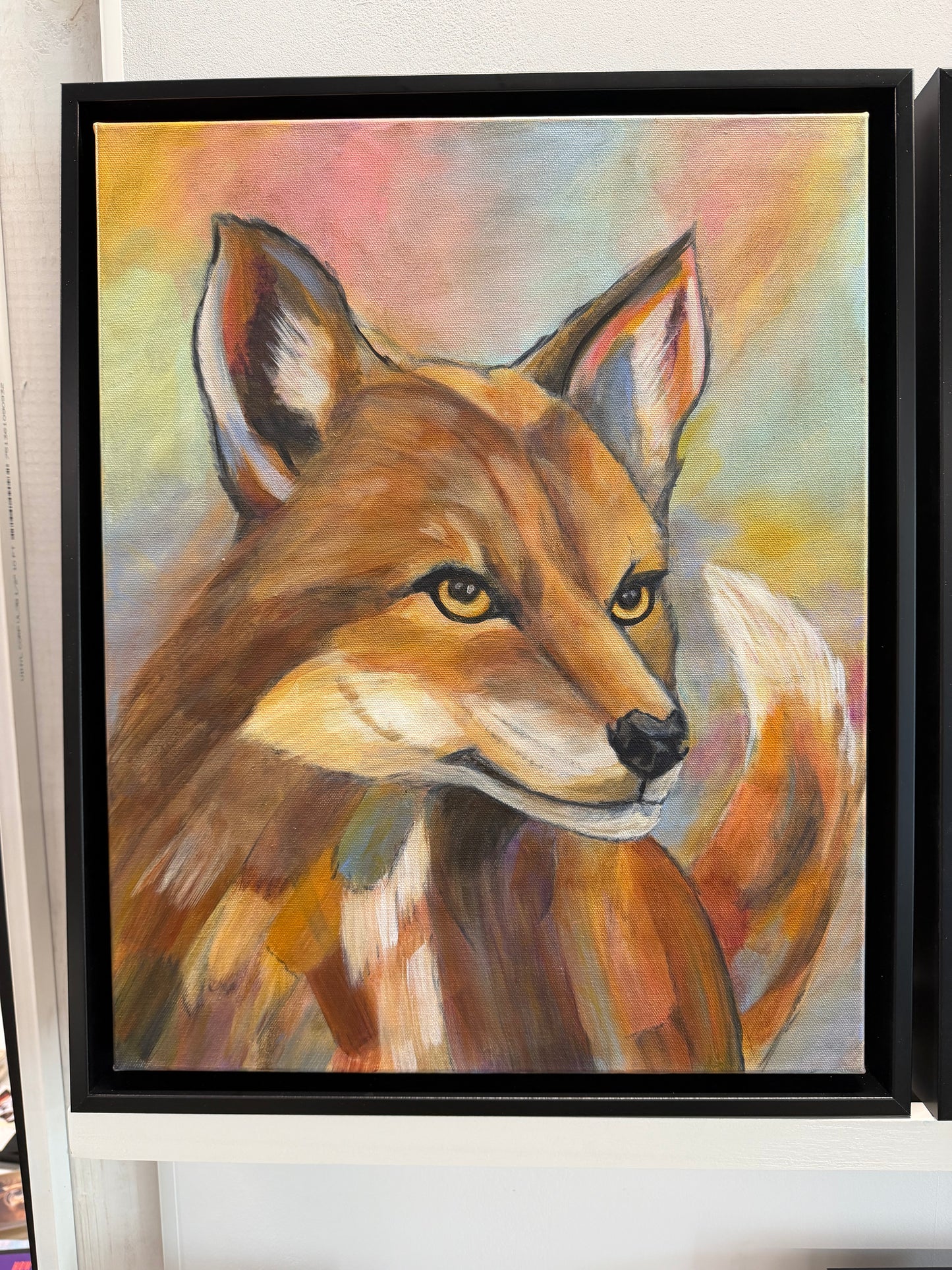 Morning Light, Fox