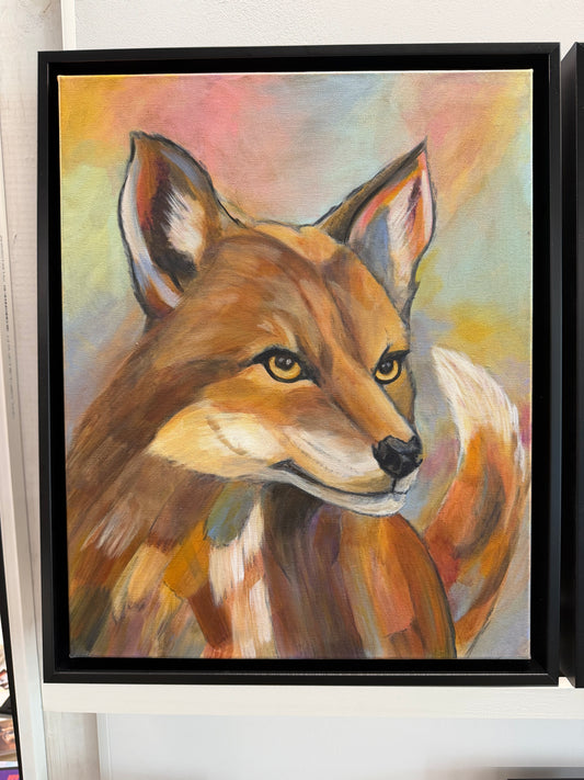 Morning Light, Fox