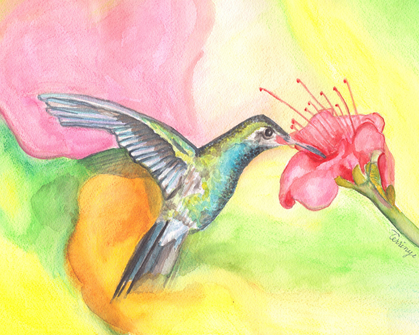 Hummingbird : Dance of Grace Print