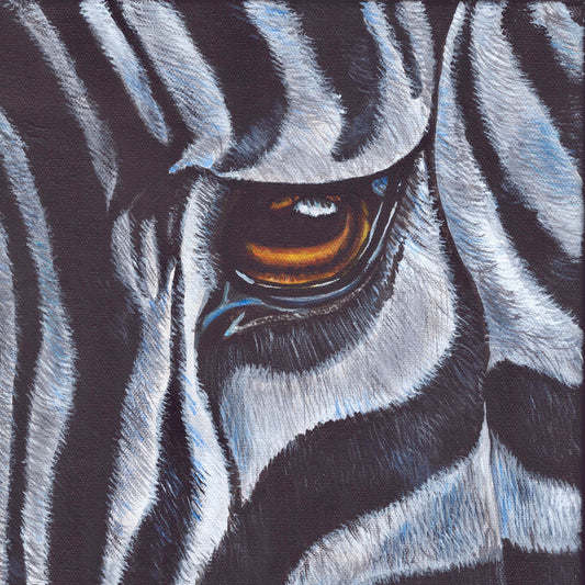 Zebra Eye Framed Print 12”H x 12”W