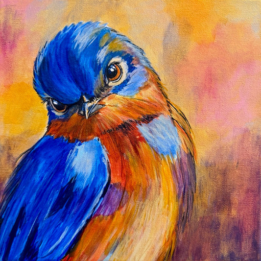 Curious Morning — Bluebird