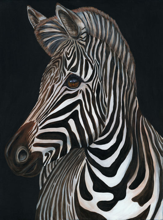Zebra Framed Print 24”H x 18”W