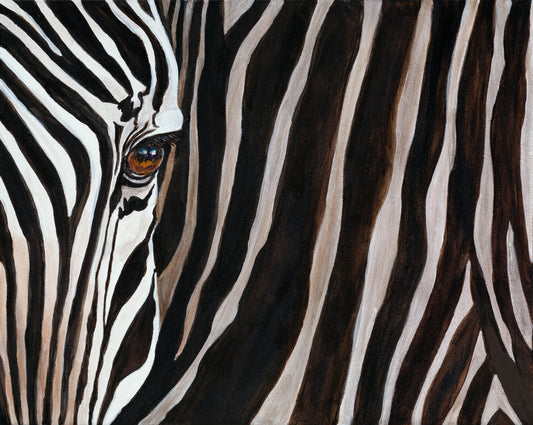 Zebra Side Eye