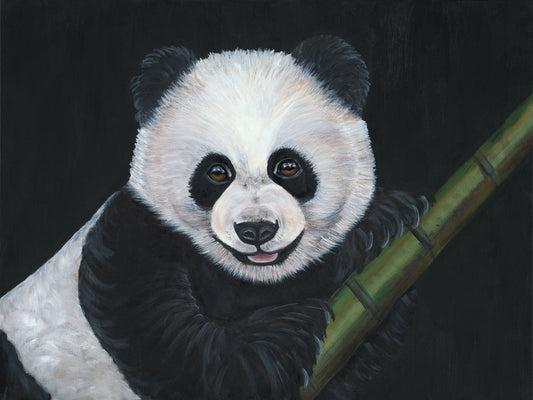 Panda Bamboo Framed Print 8”H x 10”W