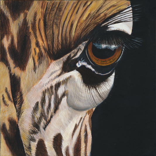 Giraffe Eye Framed Print 12”H x 12”W