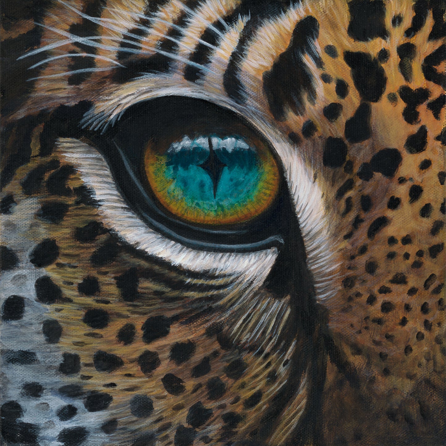 Cheetah Eye Framed Print 12”H x 12”W