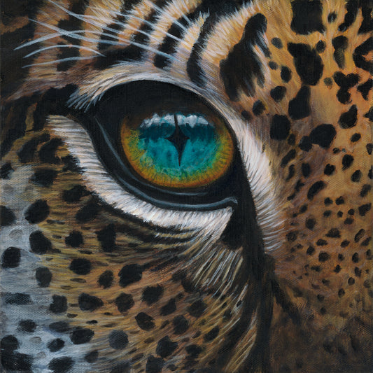 Cheetah Eye Print 12”H x 12”W