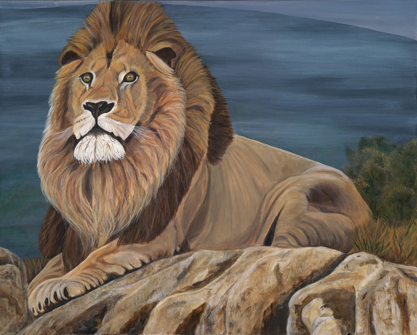 Majestic Lion Framed Print 18”H x 24”W