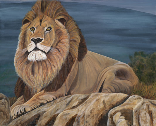 Majestic Lion Print 18”H x 24”W