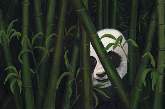 Hidden Panda Framed Print 8”H x 10”W