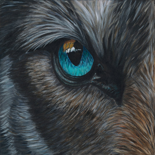 Wolf Eye Print 12”H x 12”W