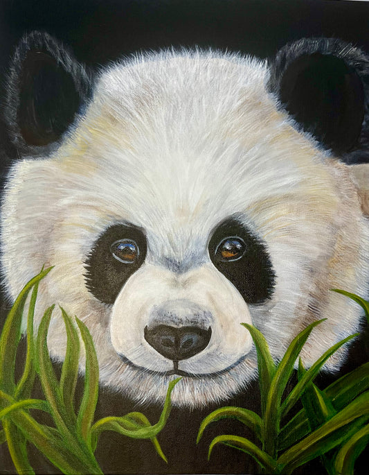Panda Framed Print 8”H x 10”W
