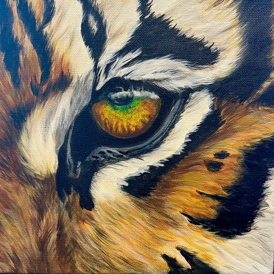 Tiger Eye Framed Print 12”H x 12”W